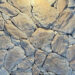 Coastal Collection - Sandstone