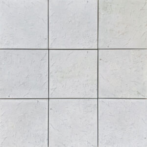 Coral Reef 375 x 375 Paver - Pearl